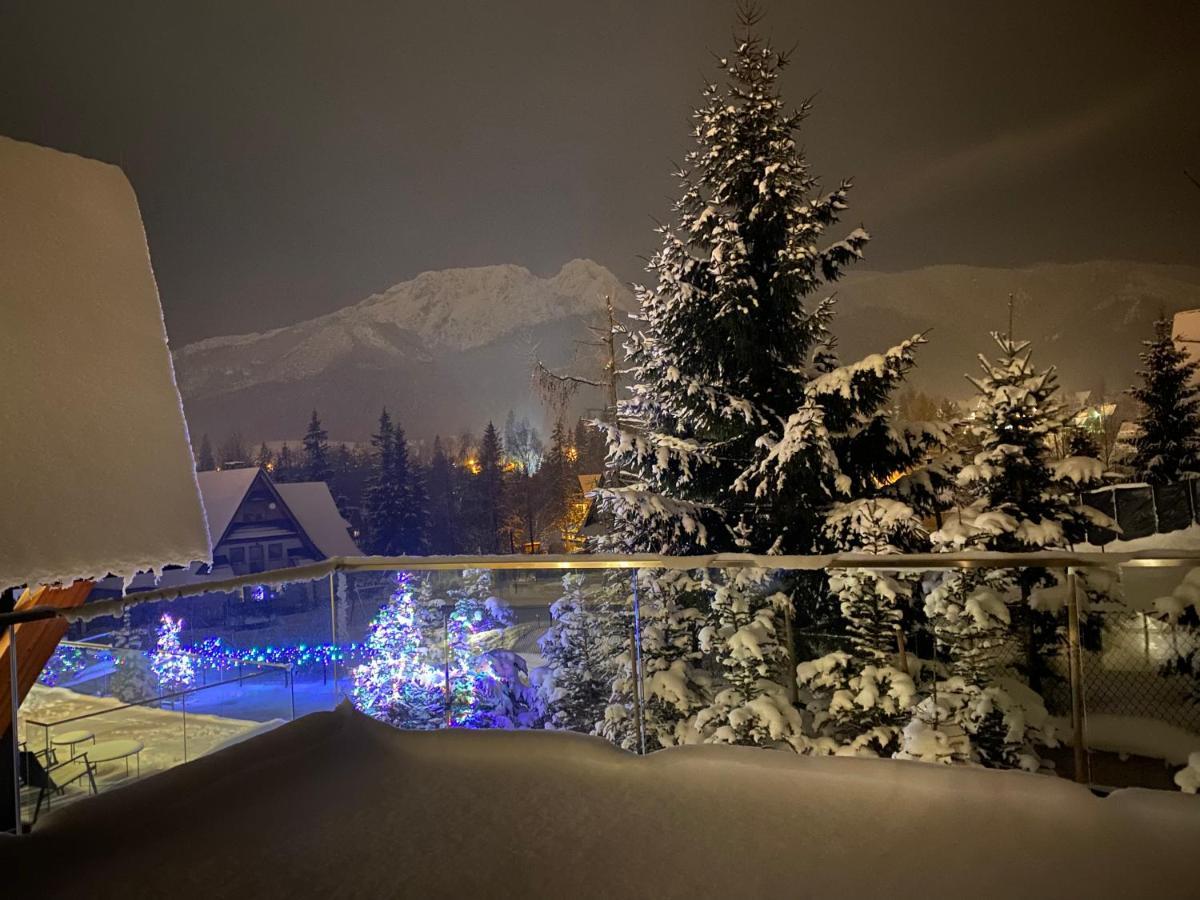 Vip Chalet Zakopane 考斯赛力克 外观 照片