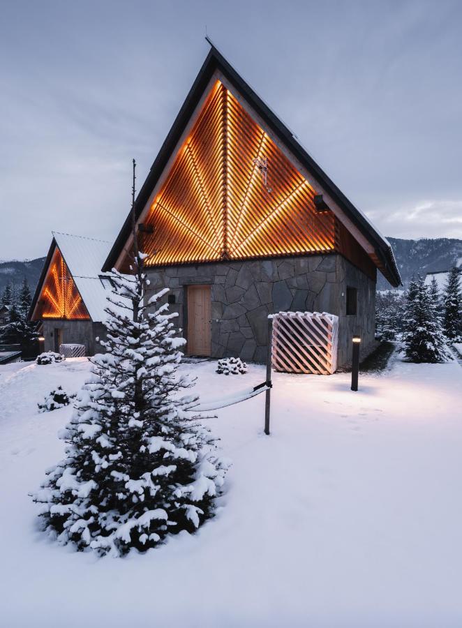 Vip Chalet Zakopane 考斯赛力克 外观 照片