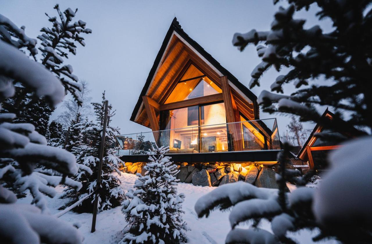 Vip Chalet Zakopane 考斯赛力克 外观 照片