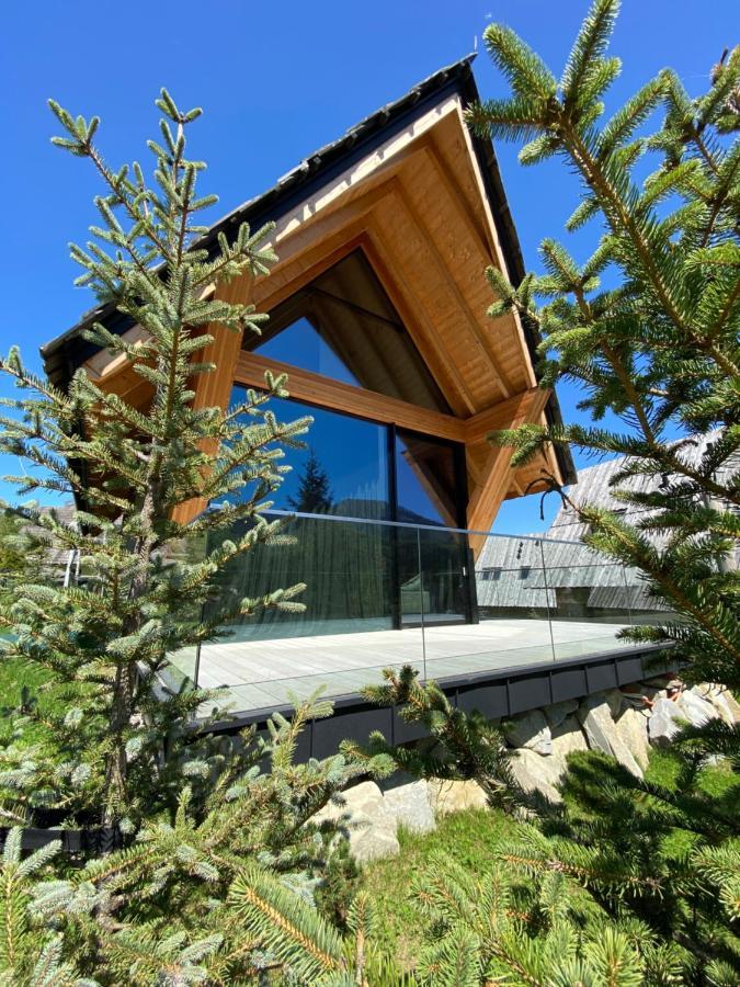 Vip Chalet Zakopane 考斯赛力克 外观 照片