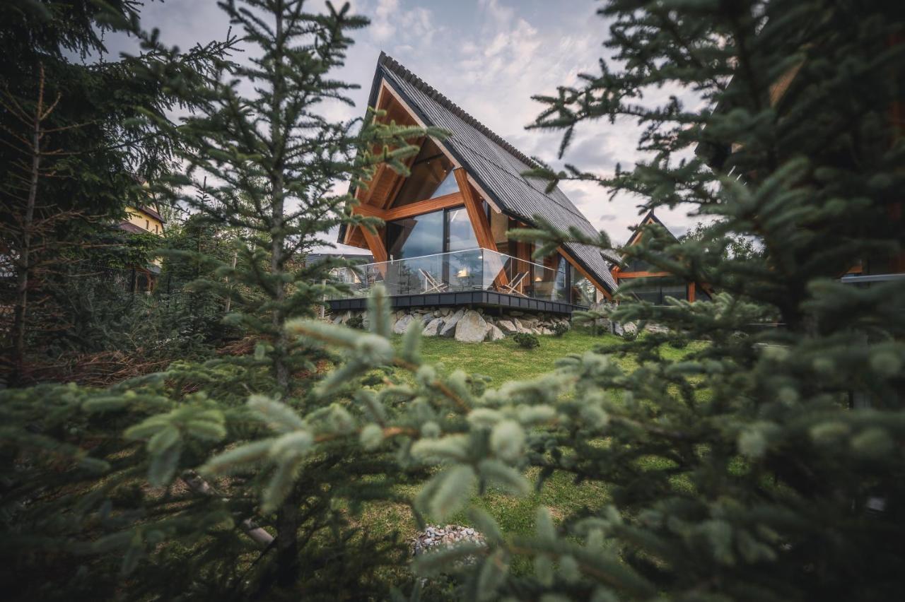 Vip Chalet Zakopane 考斯赛力克 外观 照片